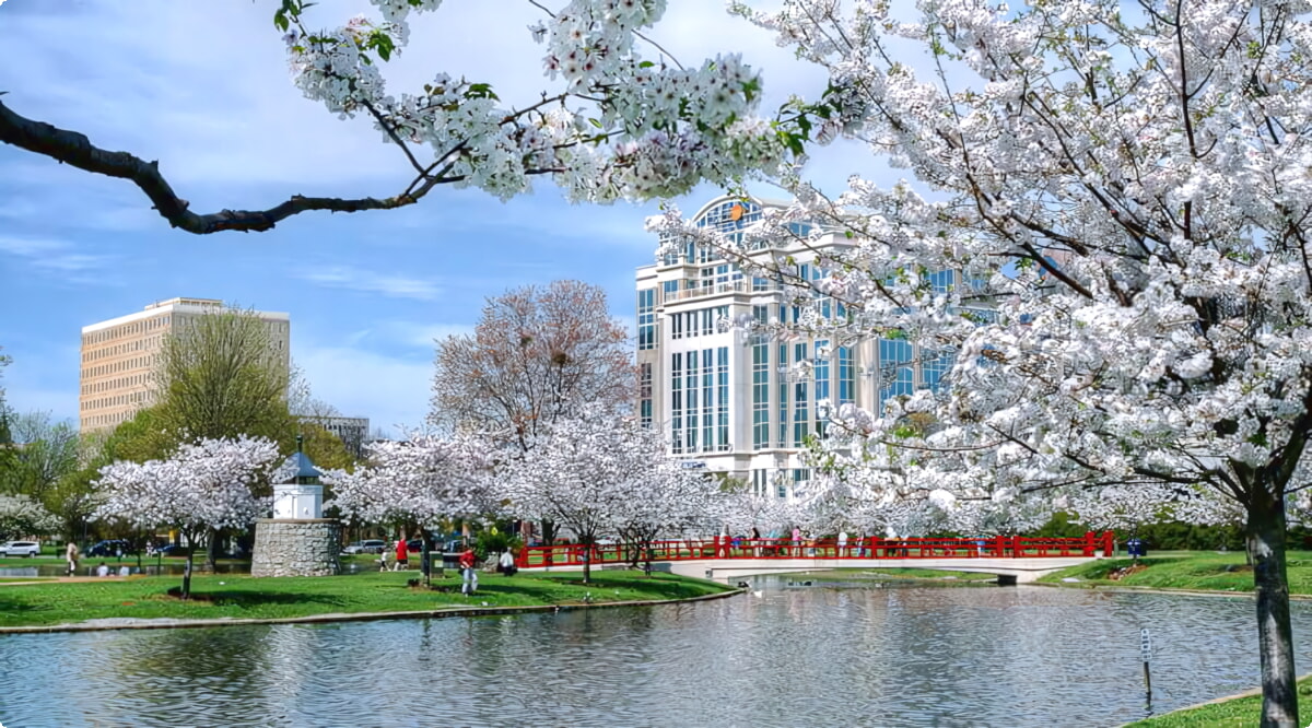 Nuestros servicios de alquiler de coches ofrecen una diversa selección de vehículos en Huntsville.